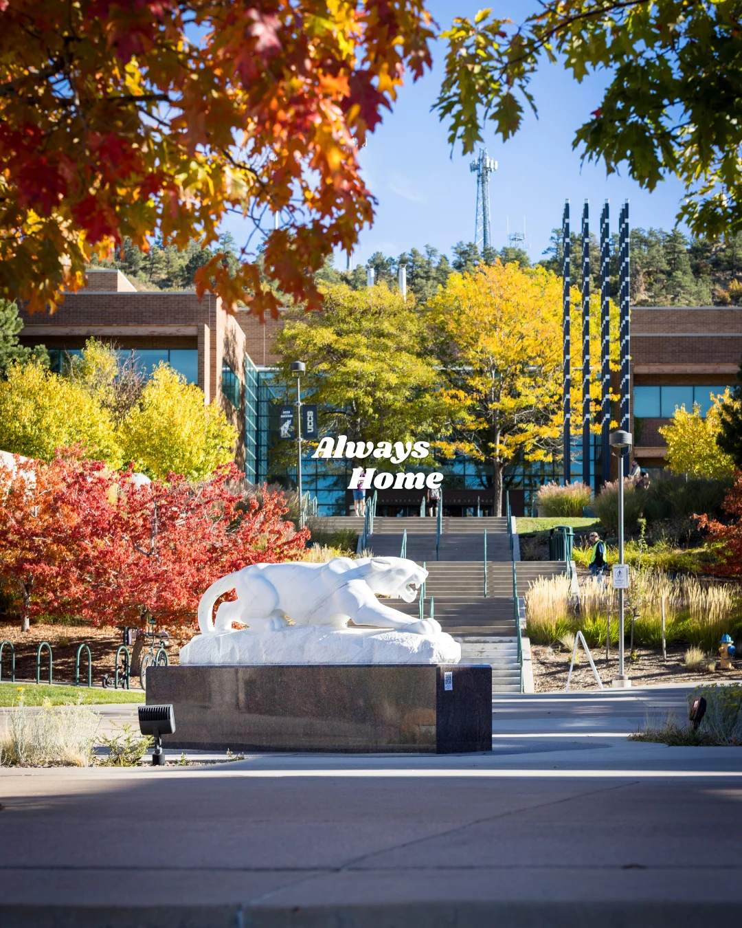 Always Home — Campus brand graphic