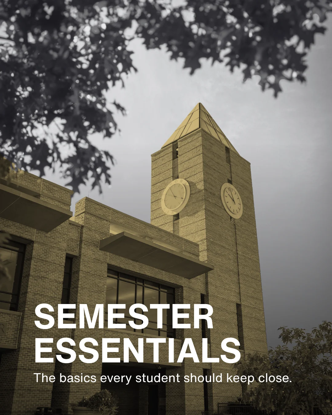 Semester Essentials — Student resource graphic